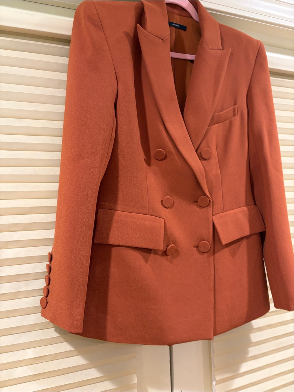 NWOT Alex Perry Double-Breasted Blazer in Rust, Size US 6 - Picture 3 of 11